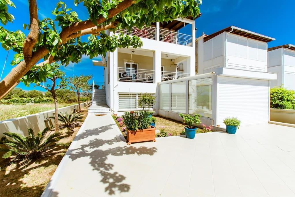Apartament Erato